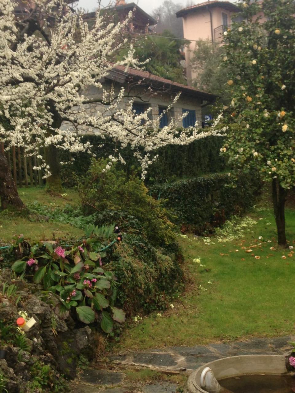 Villa Maria Lago Maggiore Reno Di Leggiuno Ngoại thất bức ảnh